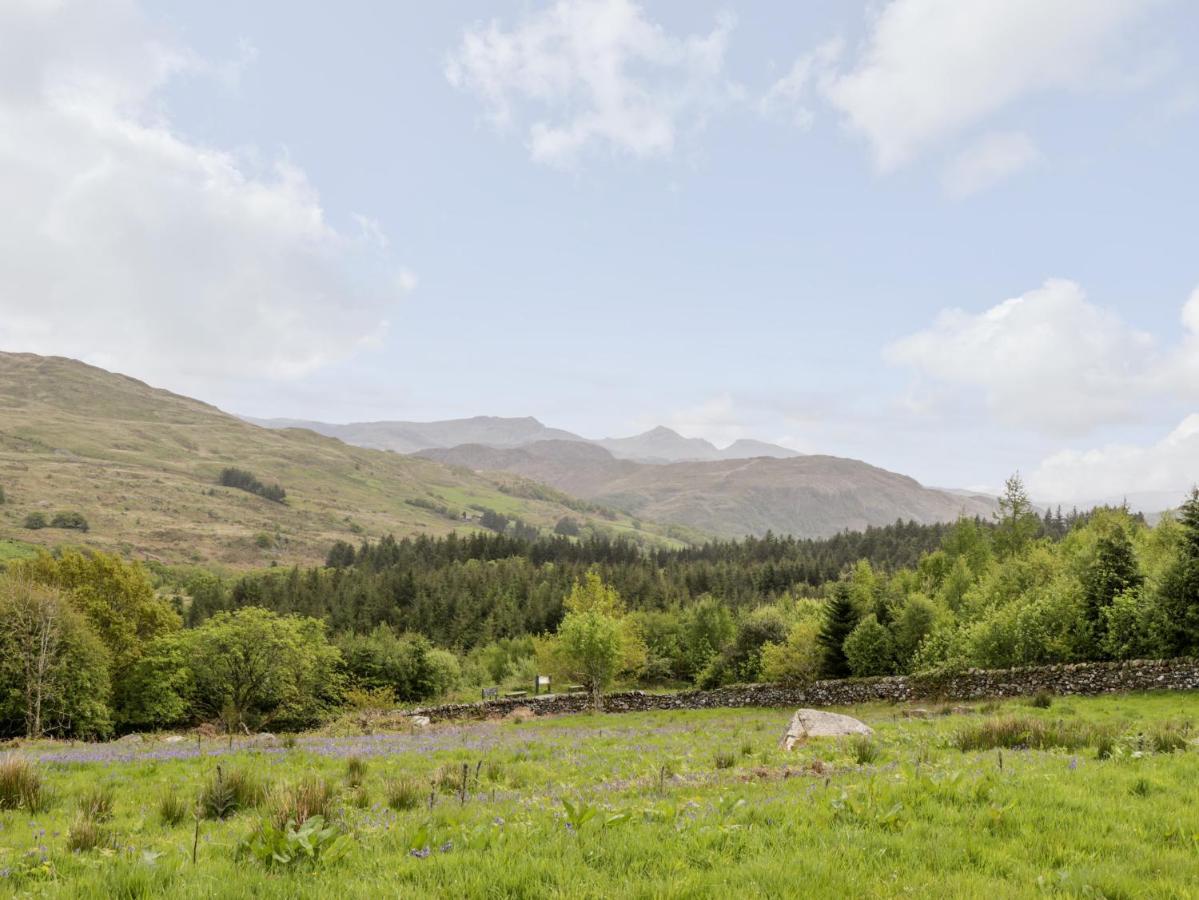 Snowdon Vista Cabin Villa Caernarfon Luaran gambar